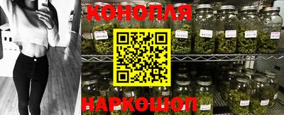 ALPHA PVP Бийск