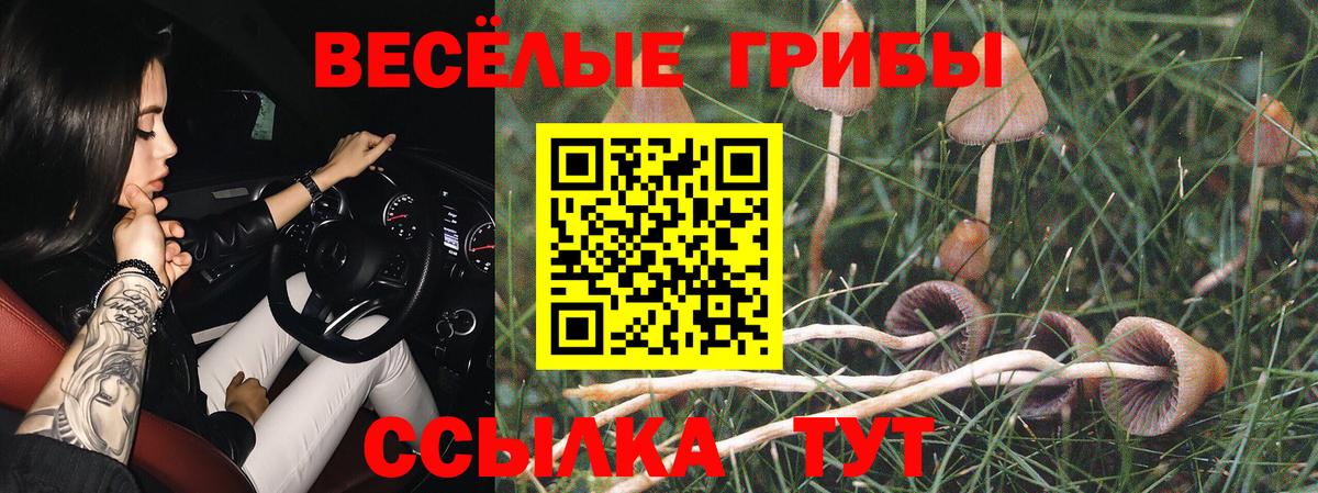 Галлюциногенные грибы прущие грибы Добрянка