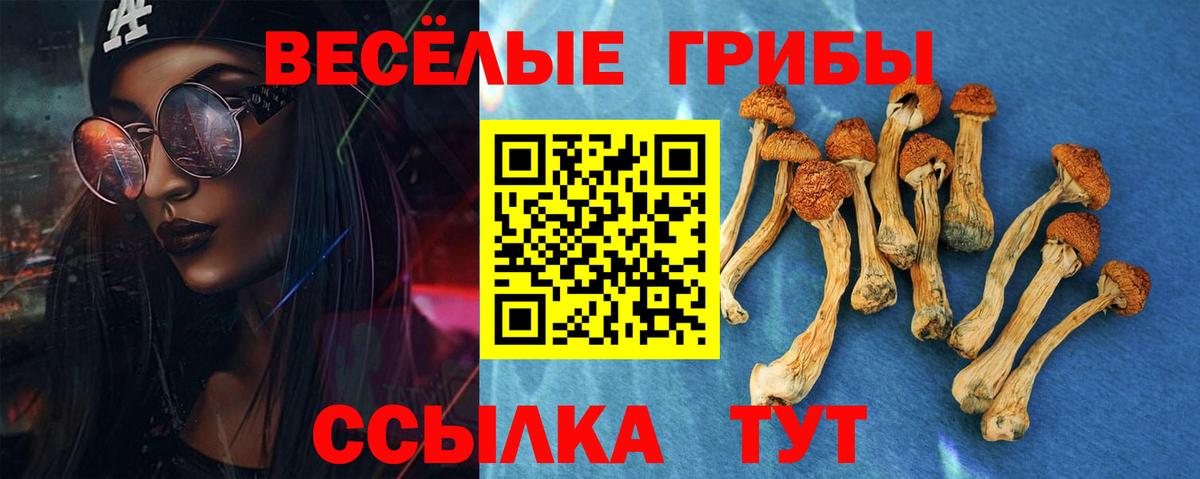 Галлюциногенные грибы Cubensis  Вход с VPN  Добрянка 